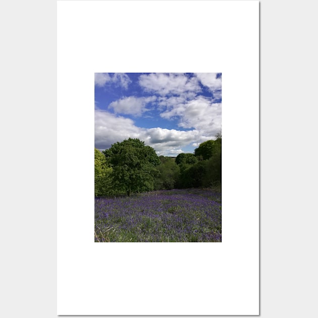 Bluebells landscape Wall Art by esvb